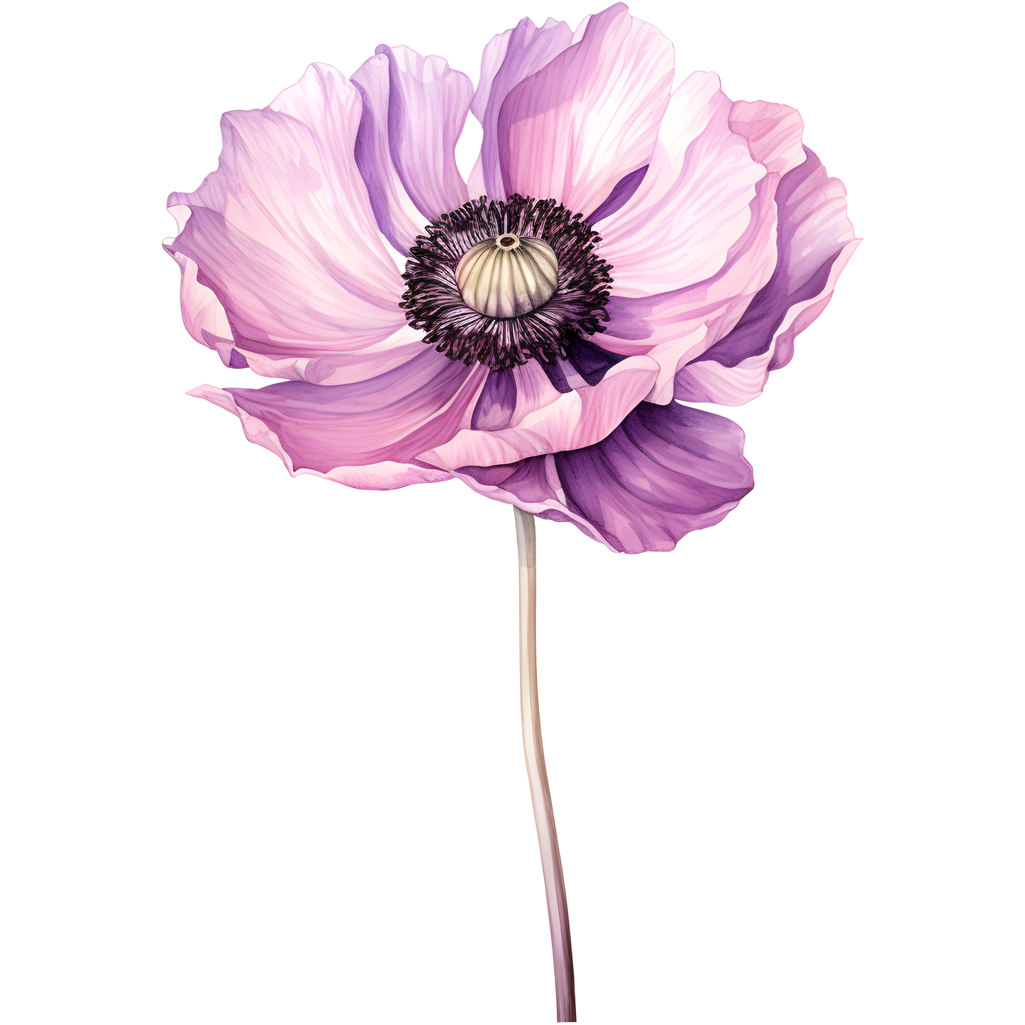 Flowers (30 options)