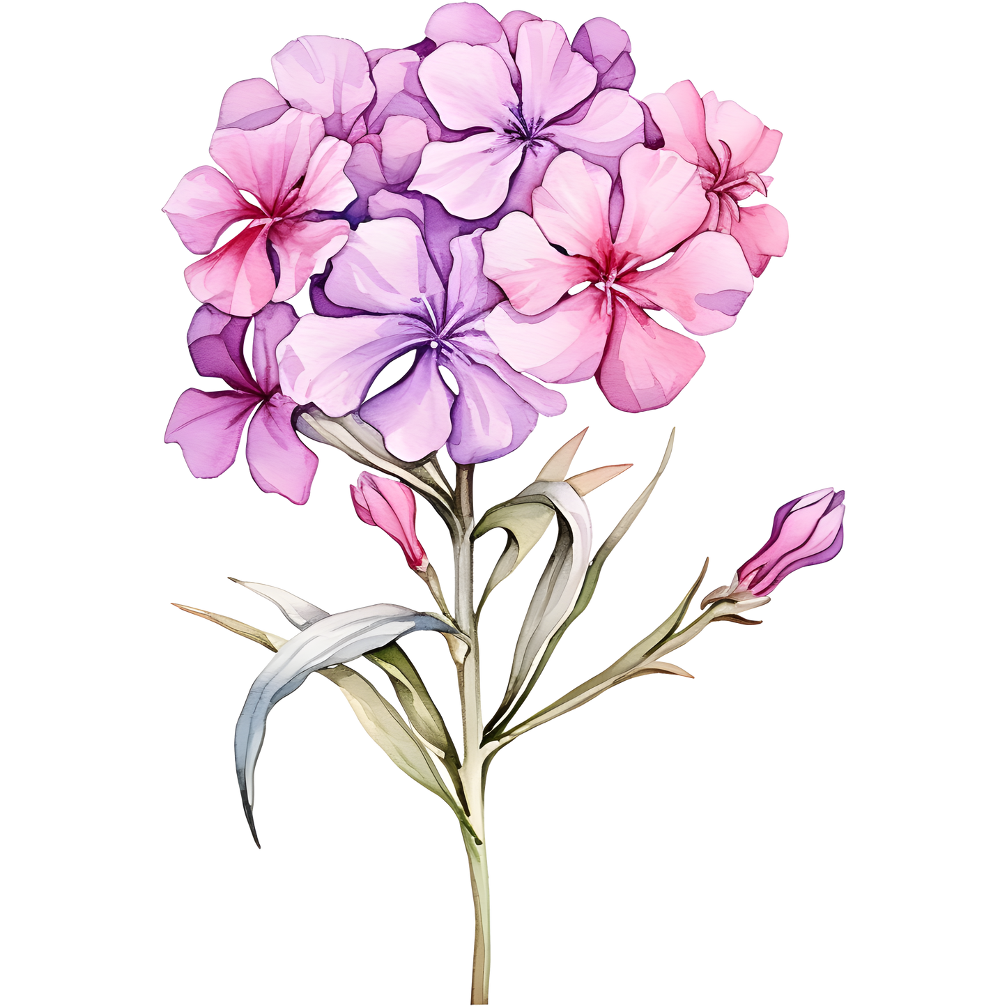 Flowers (30 options)
