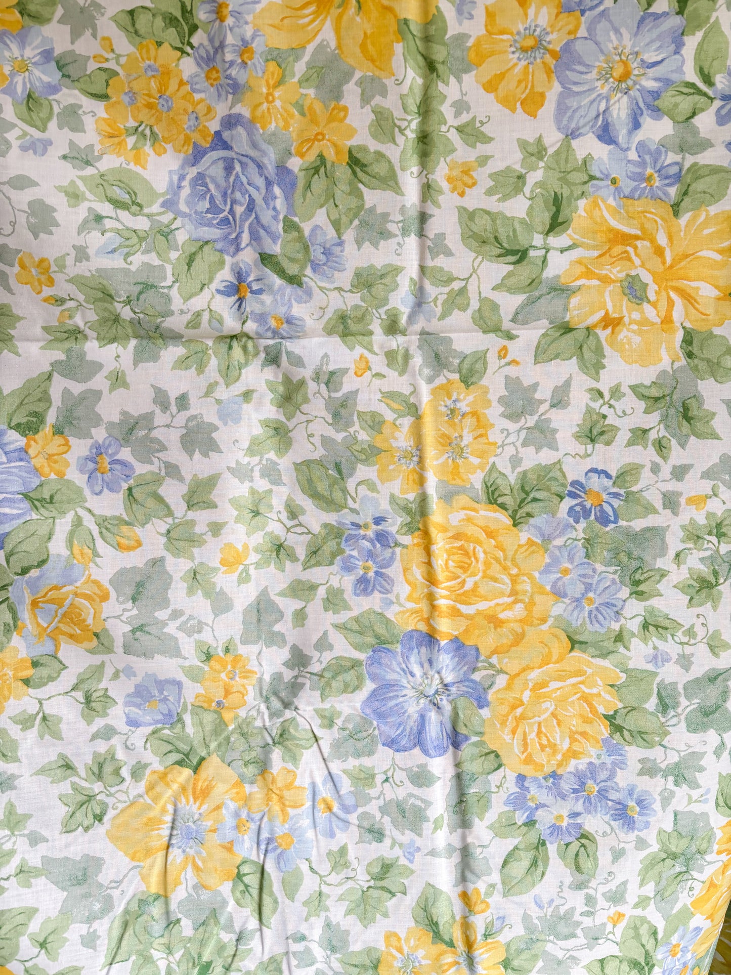 Yellow & blue roses
