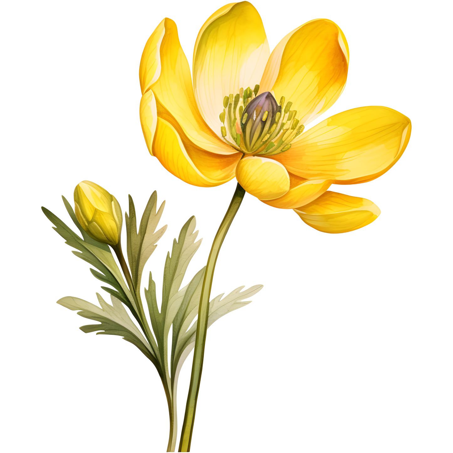 Flowers (30 options)