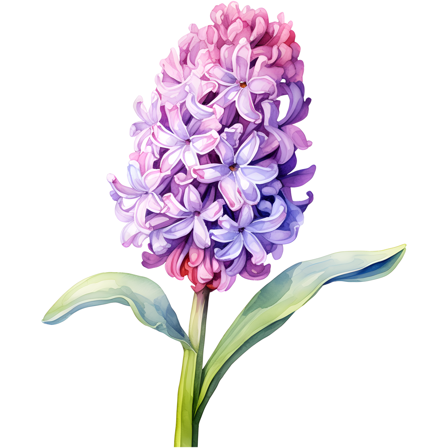 Flowers (30 options)