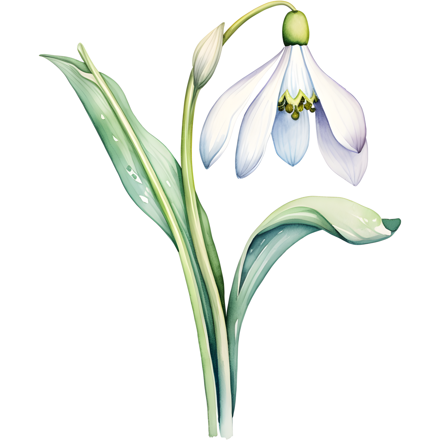 Flowers (30 options)