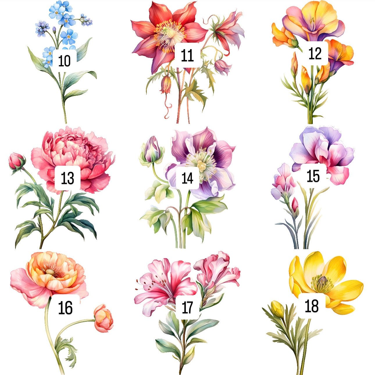 Flowers (30 options)