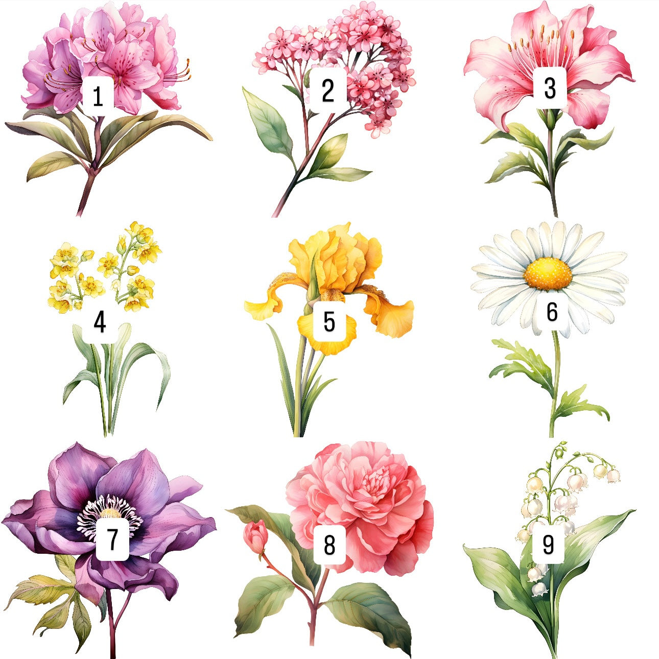 Flowers (30 options)