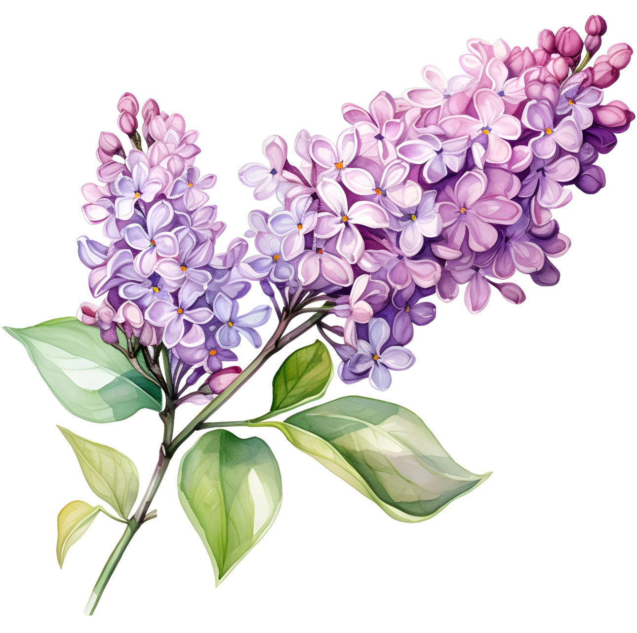Flowers (30 options)