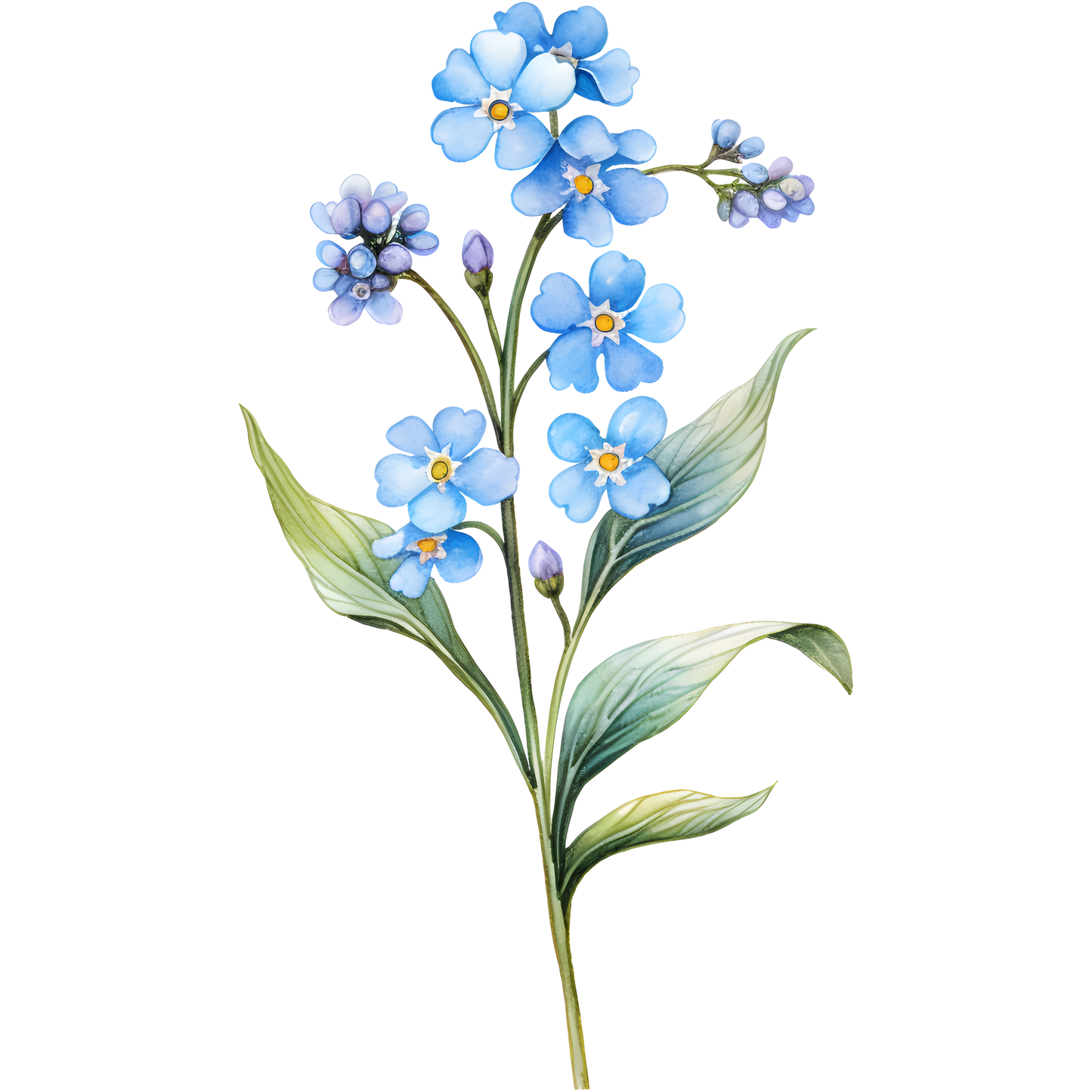 Flowers (30 options)