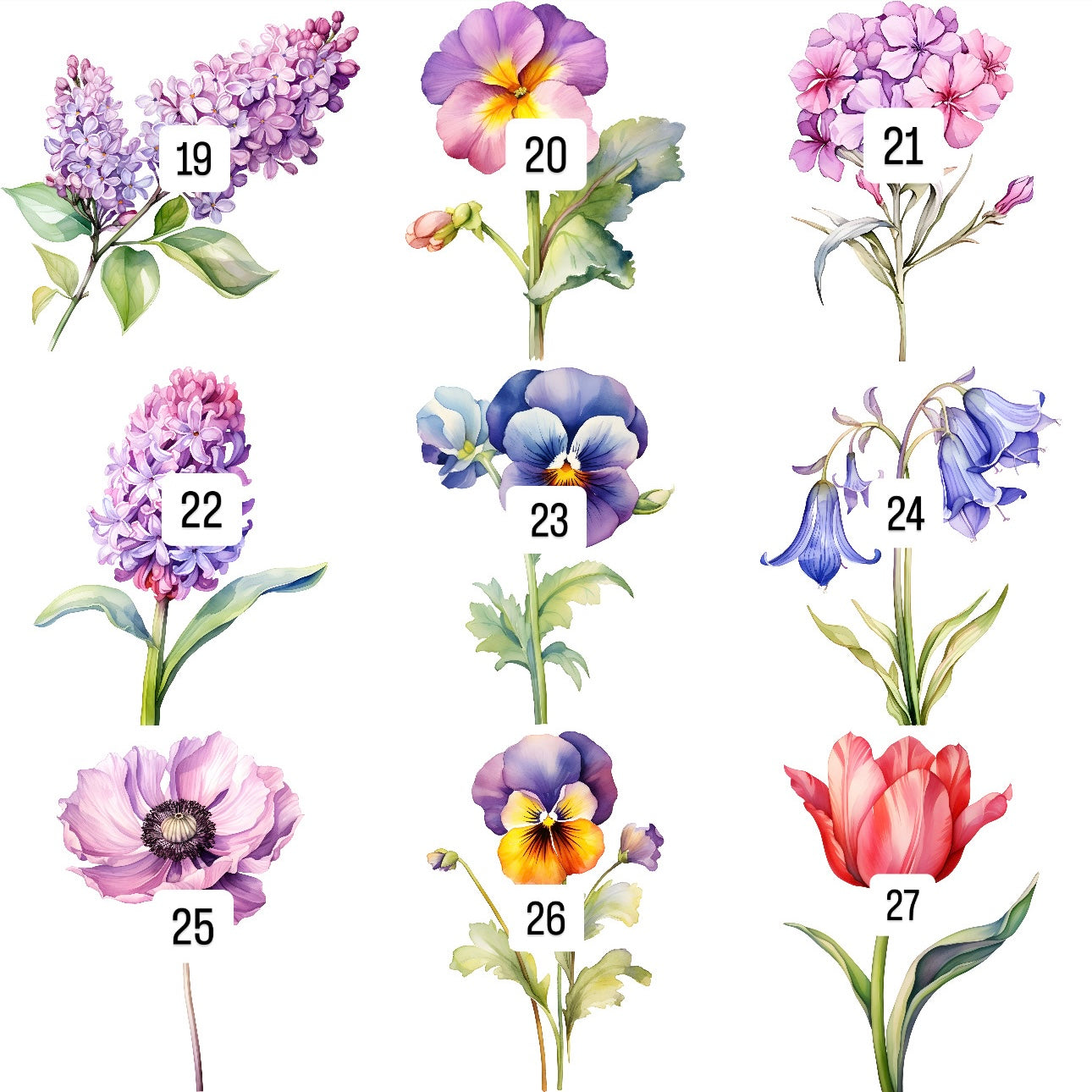 Flowers (30 options)