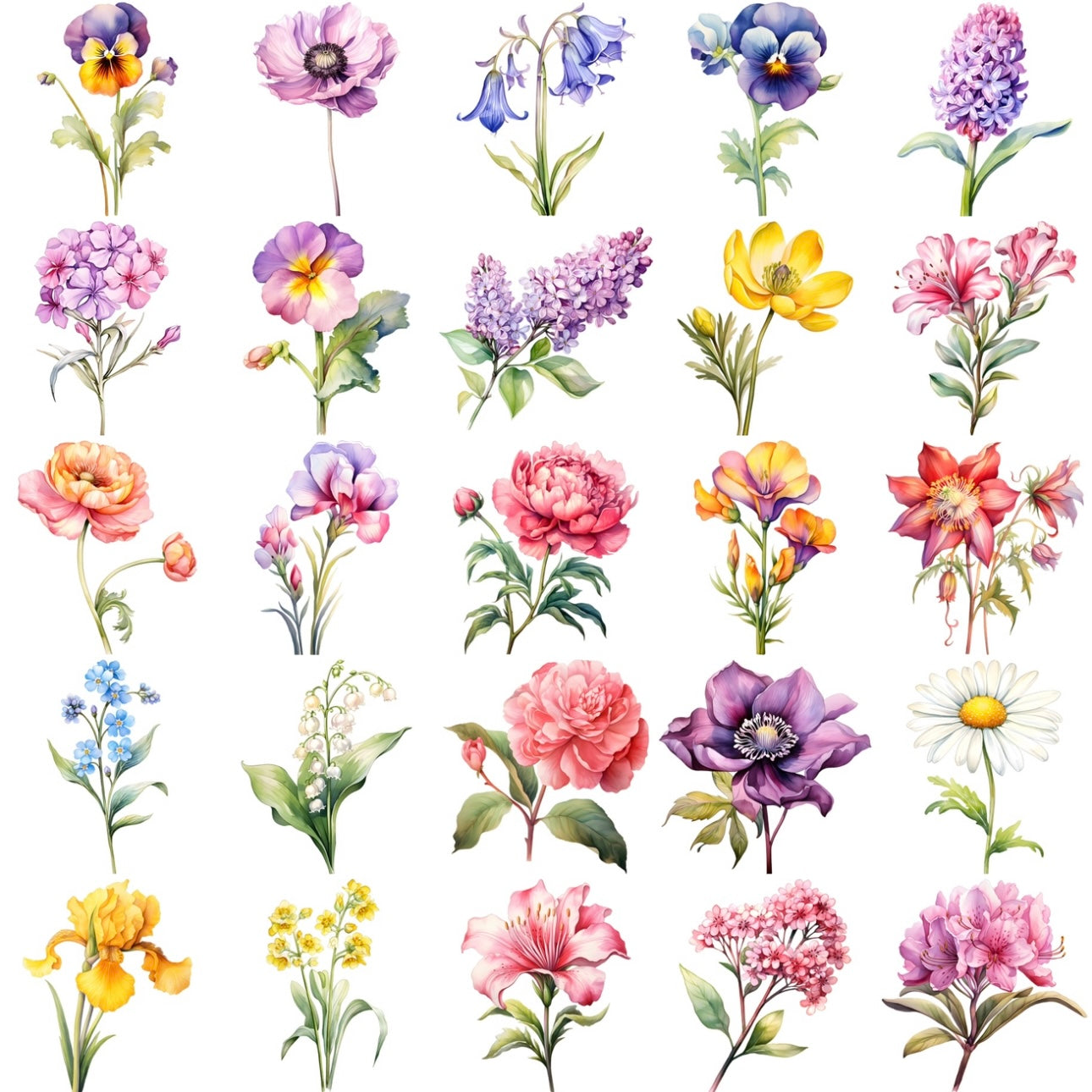 Flowers (30 options)