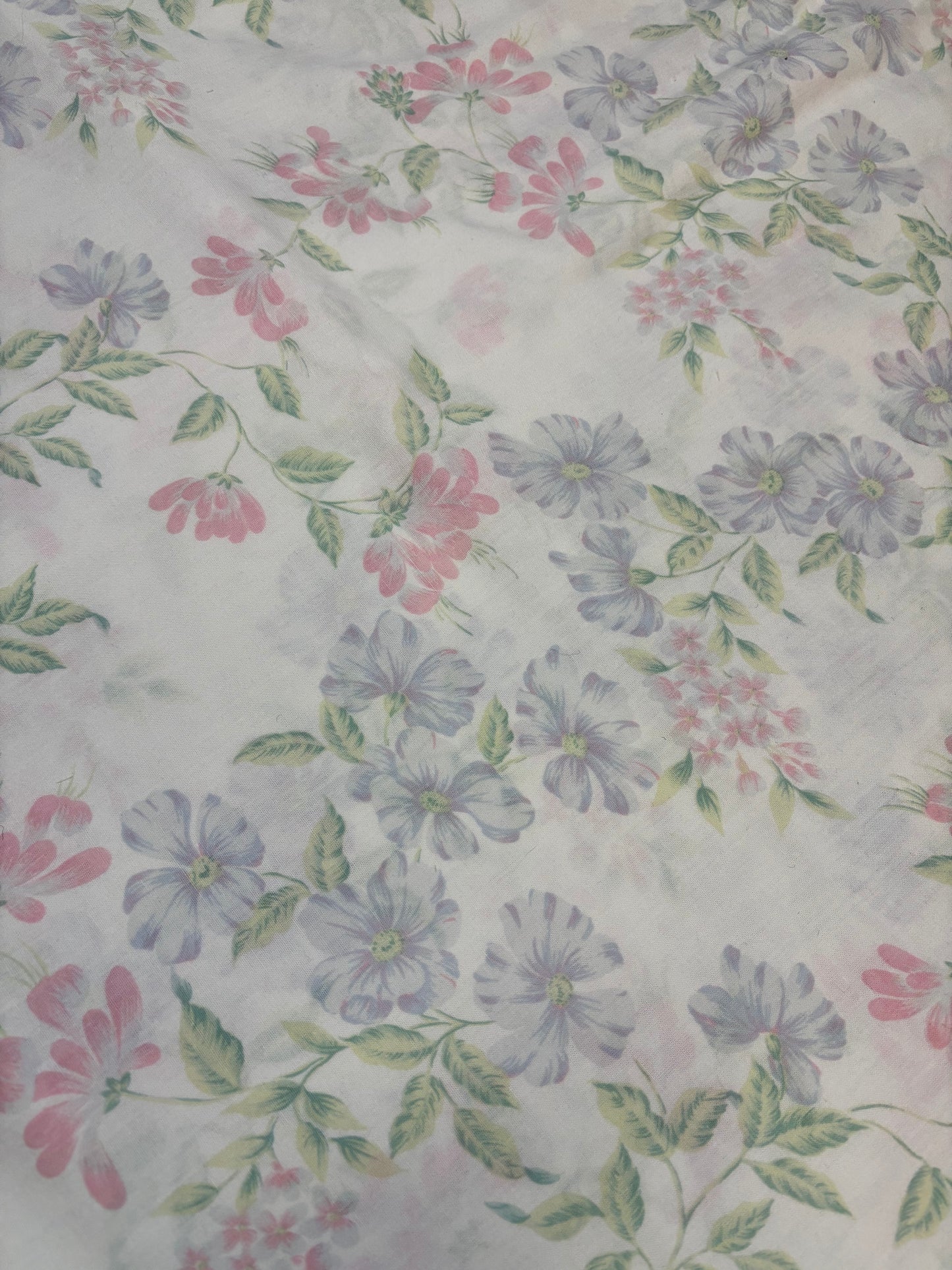 Pink & Blue cosmos