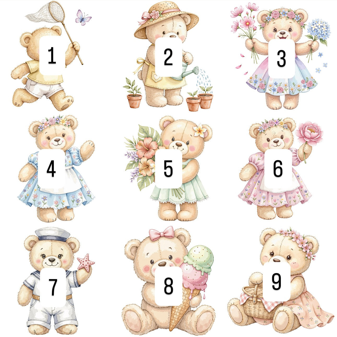 Bears (9 options)