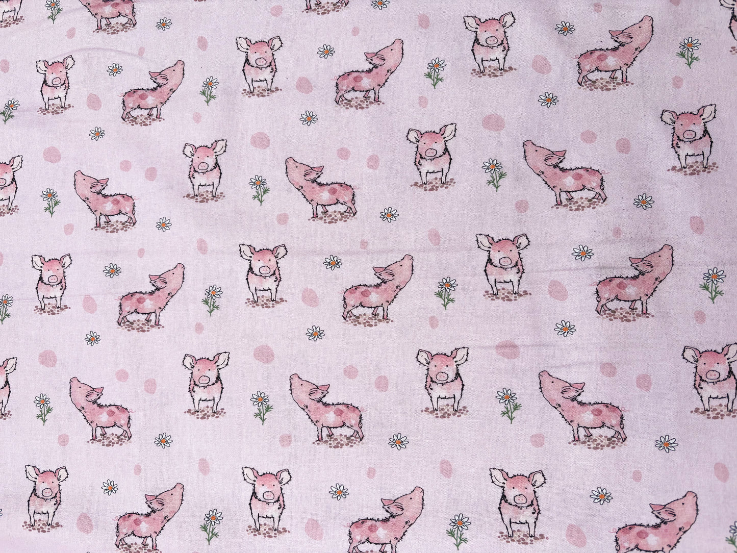 Pink pigs