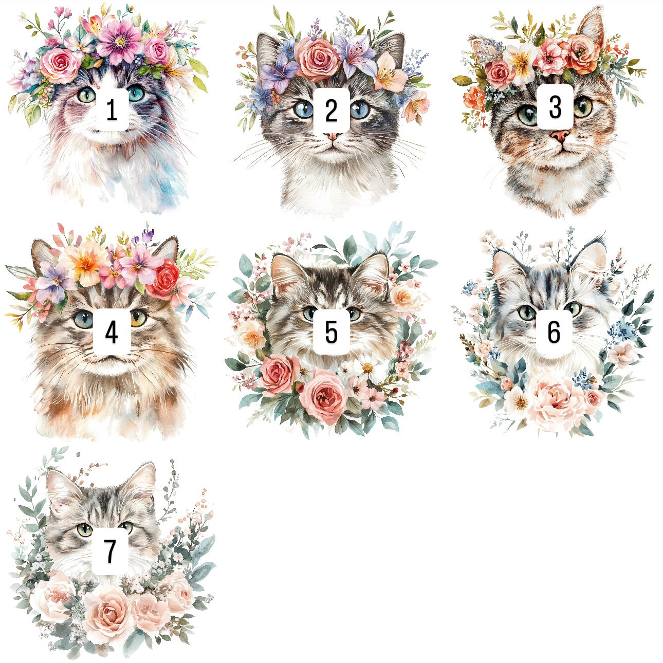 Floral cats (7 options)