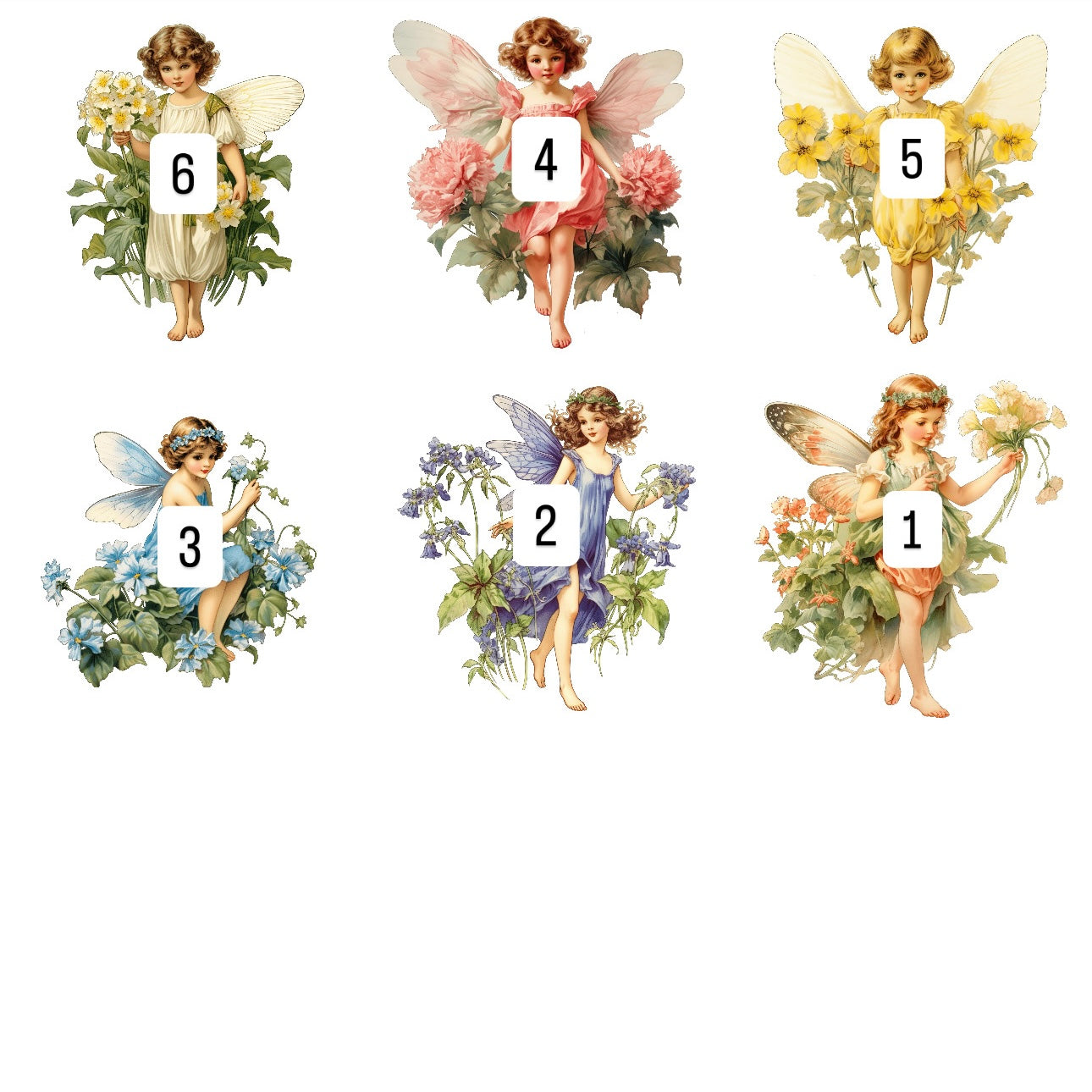 Floral Fairies (15 options)