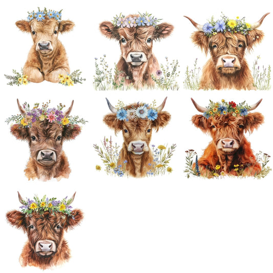 Highland Cows (7 options)