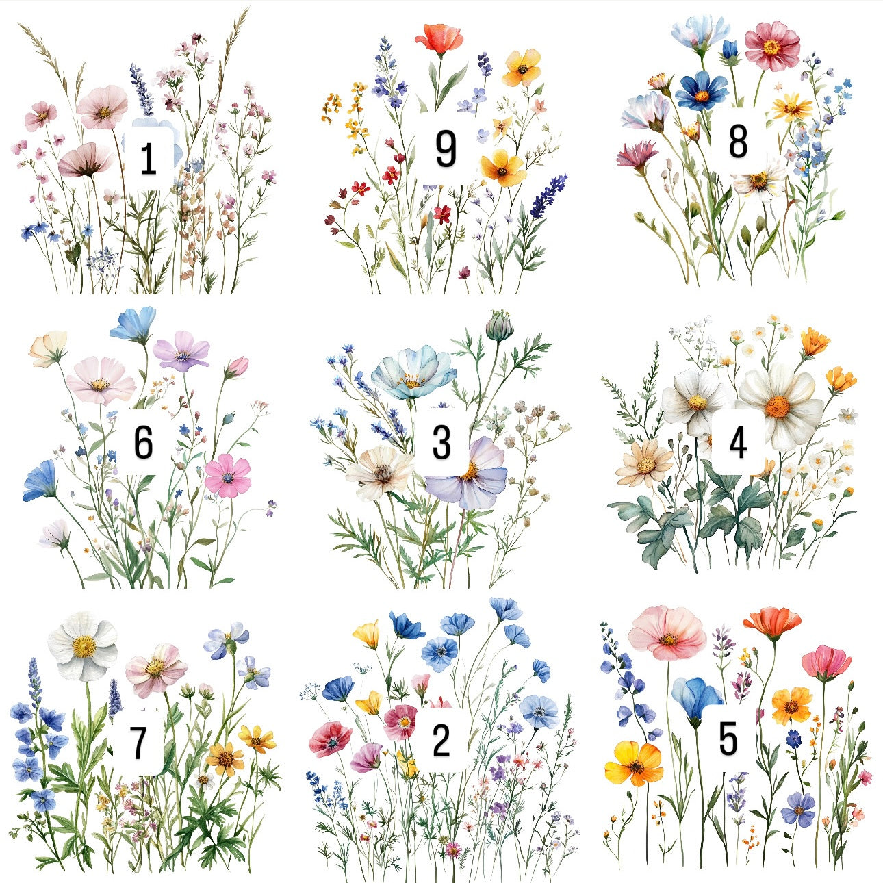 Wildflowers (9 options)