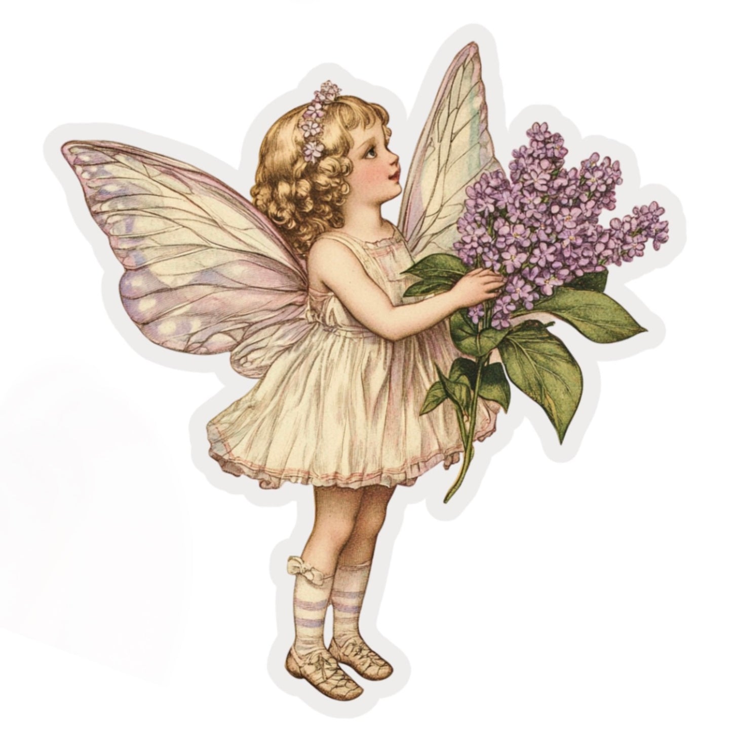 Vintage Fairies (10 options)