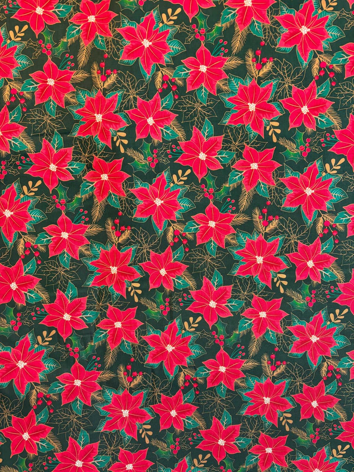 Green & gold poinsettia (8-9 week turnaround)