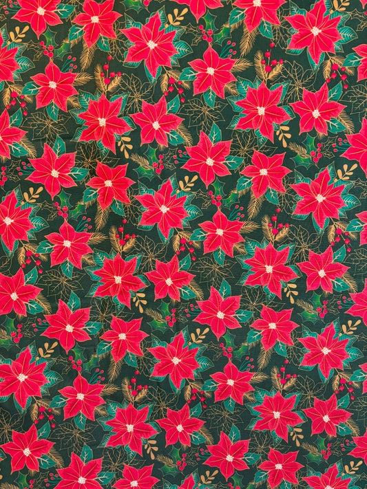 Green & gold poinsettia (8-9 week turnaround)