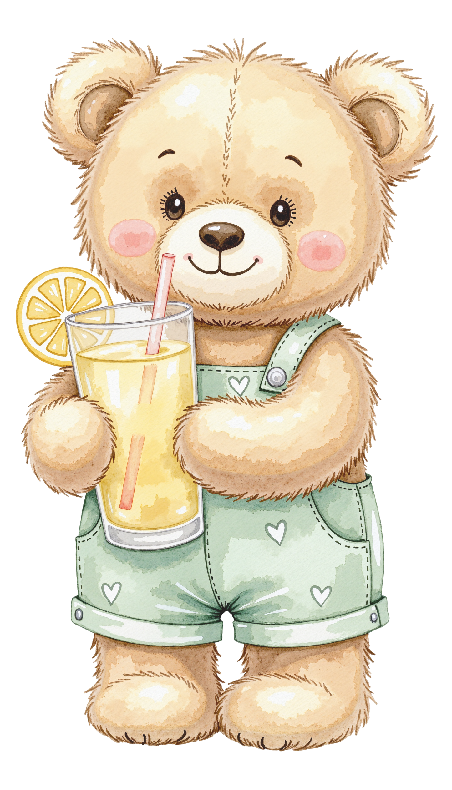 Bears (9 options)