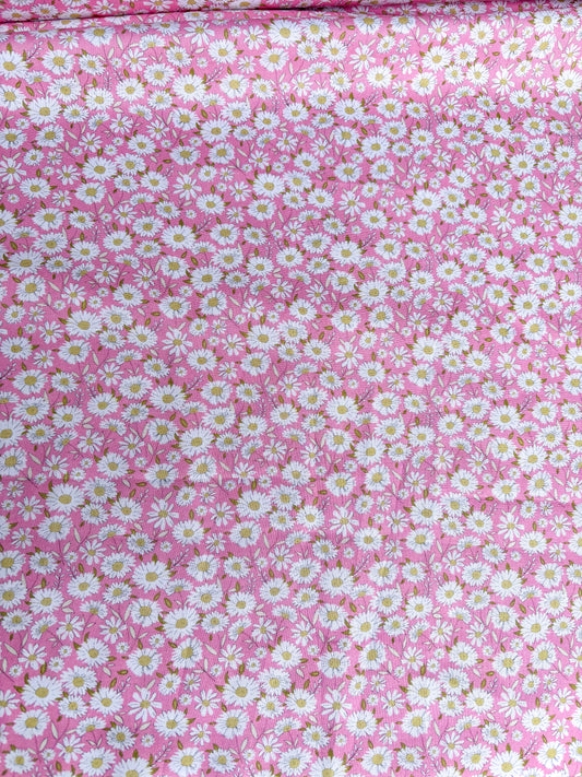 Pink Daisies