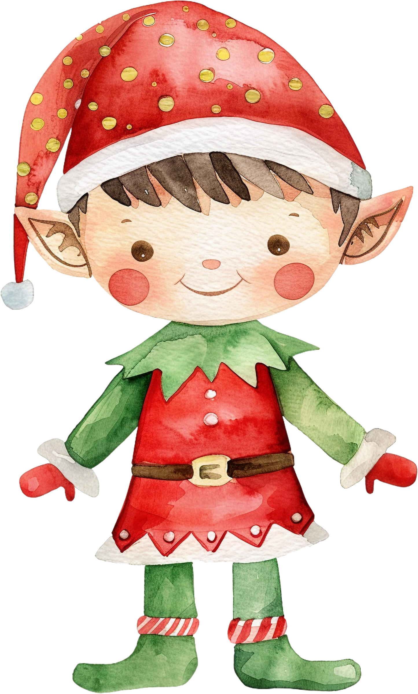 Christmas characters (14 options)