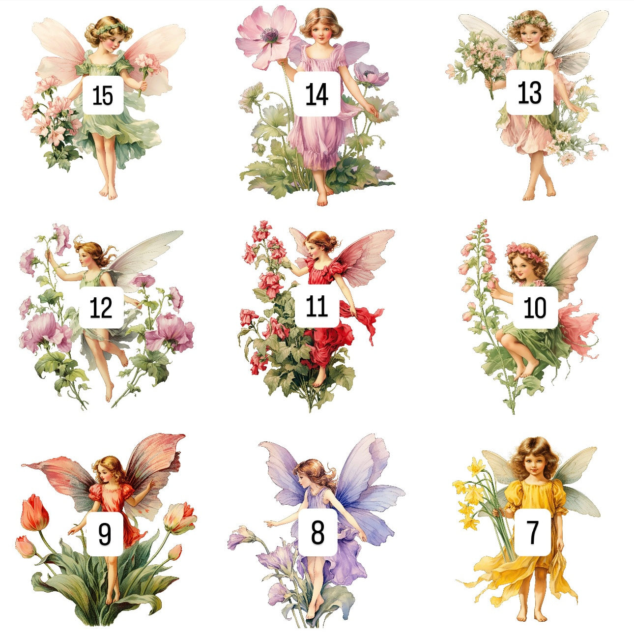 Floral Fairies (15 options)