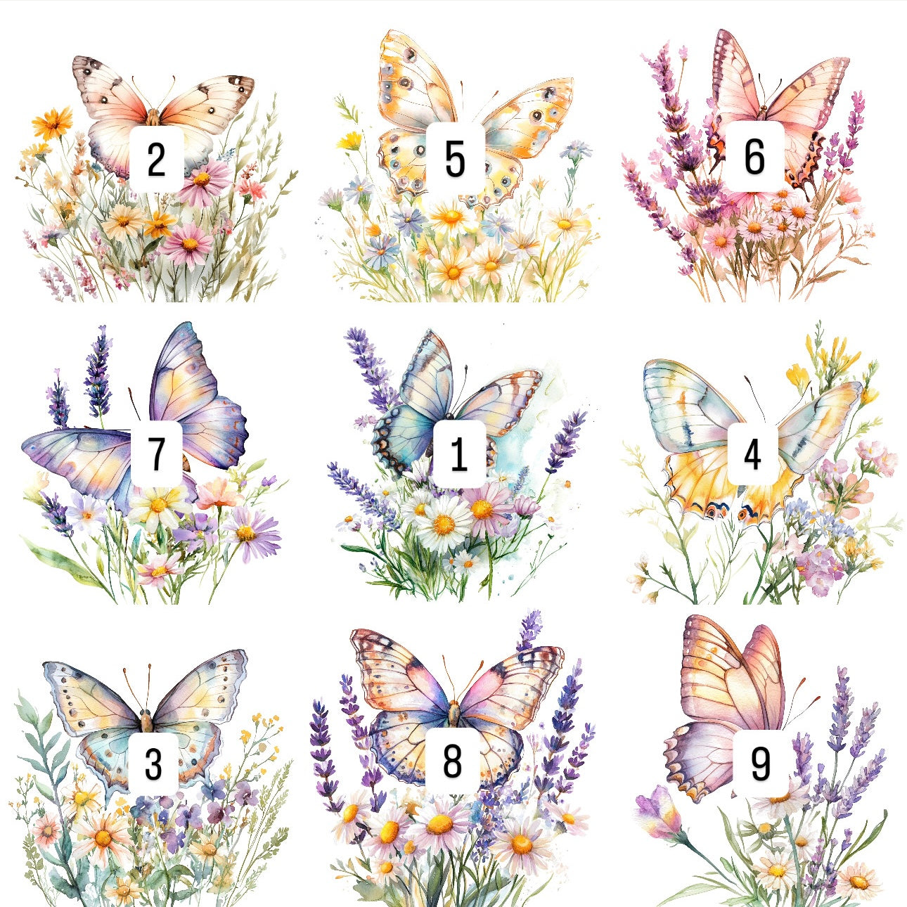 Butterflies (9 options)