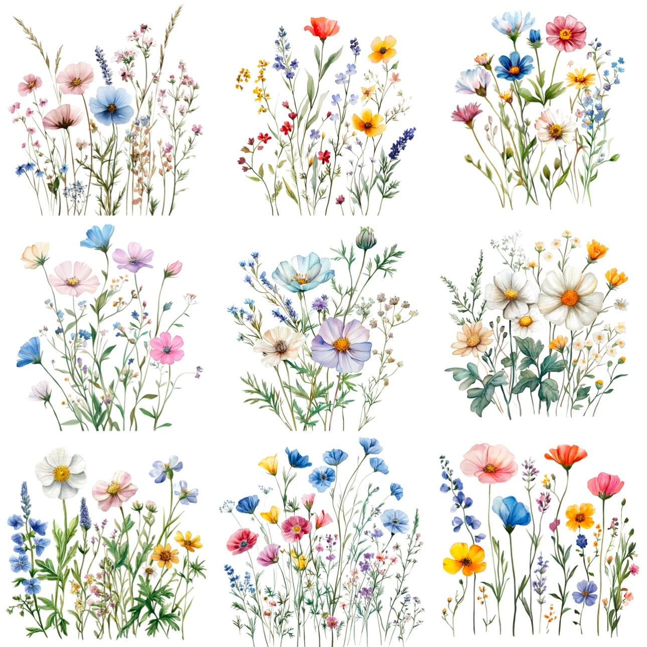 Wildflowers (9 options)