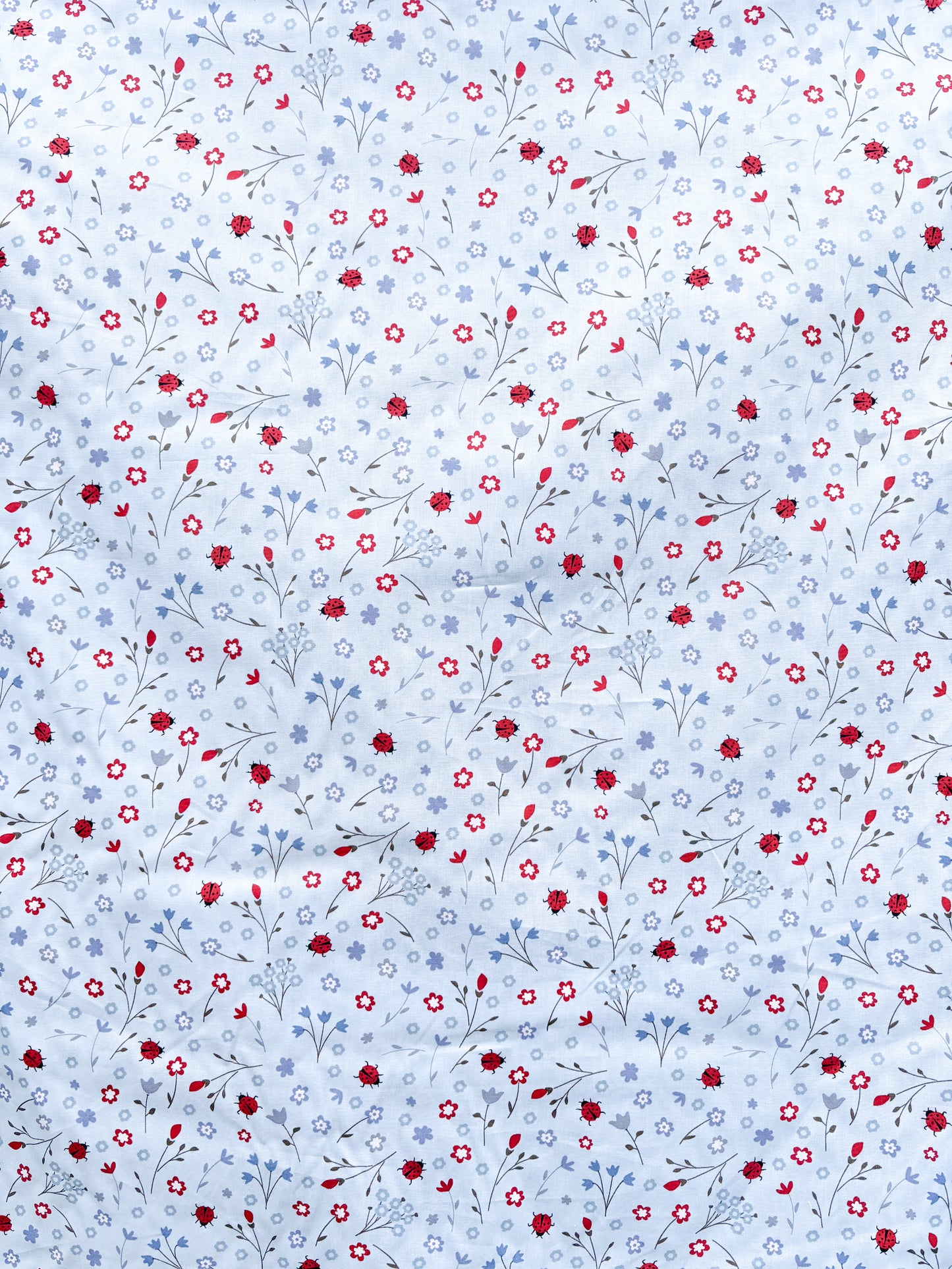 Ladybugs (blue background)