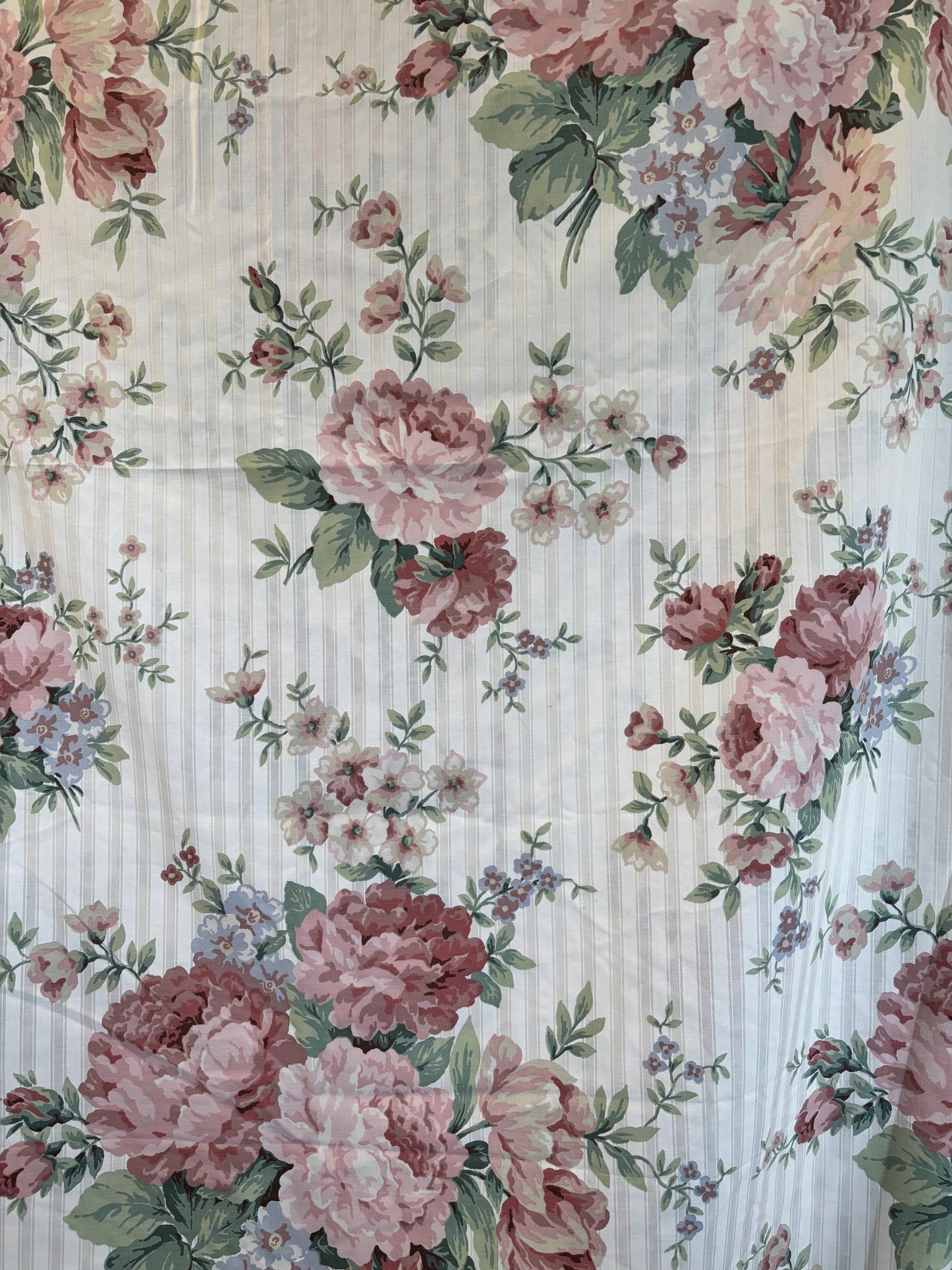Stripe roses