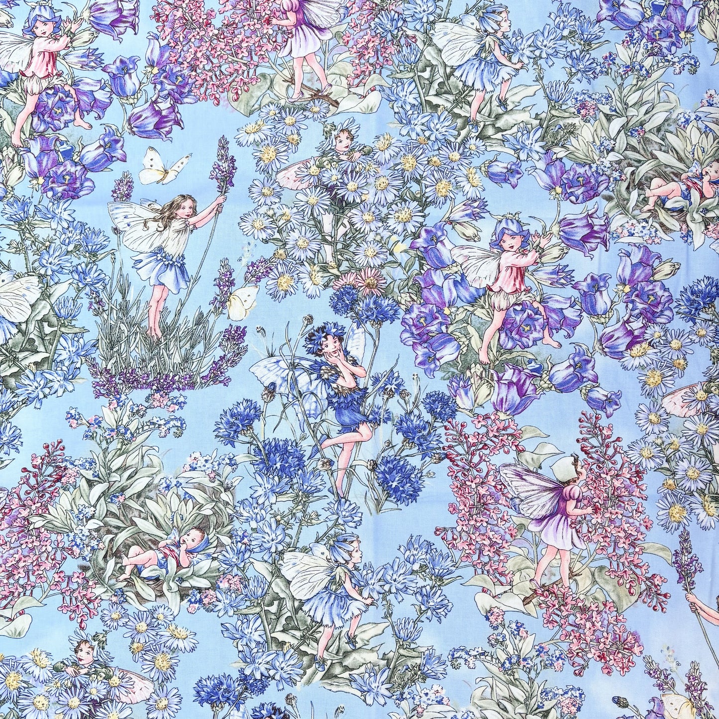 Fairy clash add-on