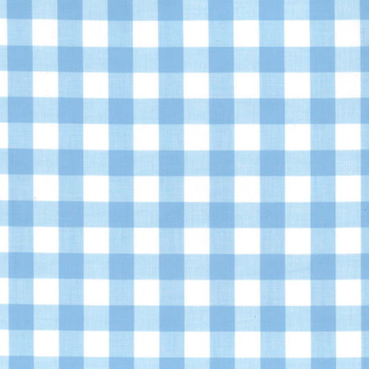 Chunky pale blue gingham